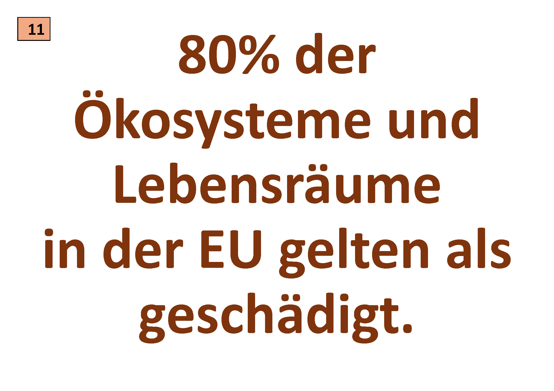 Vorschau Klimafaktenberg, Tafel 11